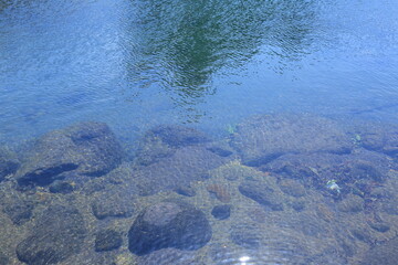 물길20리 월대천의 투명함과 푸르름