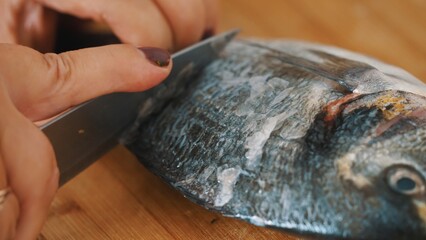 Hand with a knife cutting raw bream fish dorado. Cooking concept. High quality photo