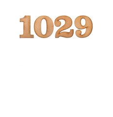Number 1029 - Piece of wood isolated on white background