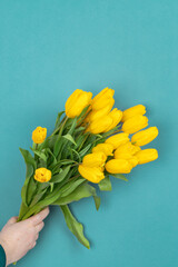 yellow tulips on blue background. Space for text. Spring is coming. Ukraina flag color