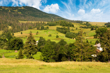Fototapeta na wymiar mountain landscape of carpathian alps. area of podobovets village at the foot of borzhava ridge. scenery with fresh green meadows and spruce trees in the distance. natural rural environment in summer