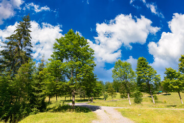 country road through forested countryside. beautiful summer mountain landscape on a sunny day. travel backcountry concept