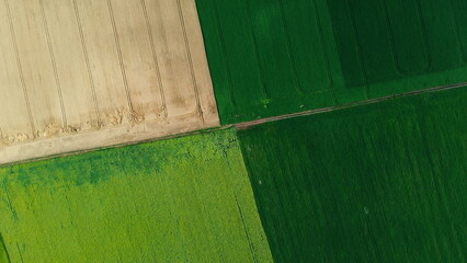 Panoramic top view parts of different agricultural fields. Yellow wheat field, yellow-green sunflower field and fields with other green agricultural plants. Dirt road between fields. Circle rotation