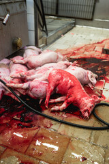 Close up shot of raw meet production and processing work. Industrial slaughterhouse and food industry business concept.