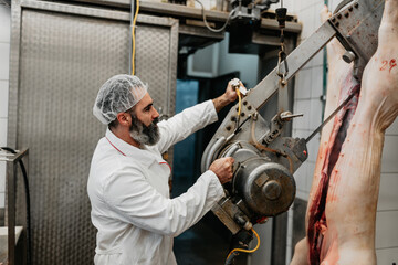 Fototapeta na wymiar Experienced middle age man working in fresh meet processing plant. Industrial slaughterhouse worker job. Food industry business concept.
