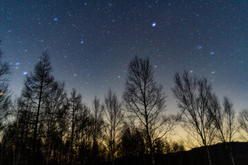 戦場ヶ原の星景