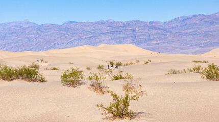 People migrating / walking over sand dunes in the desert