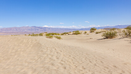 Sand dunes in the desert at Mesquite Dunes the Death Valley National Park. 