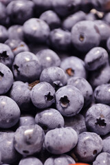 ブルーベリーが実りました。紫がとても新鮮で美味しそうです。
Blueberries have come to fruition. Purple looks very fresh and delicious.
