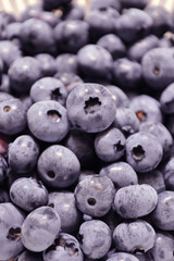 ブルーベリーが実りました。紫がとても新鮮で美味しそうです。
Blueberries have come to fruition. Purple looks very fresh and delicious.