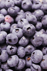 ブルーベリーが実りました。紫がとても新鮮で美味しそうです。
Blueberries have come to fruition. Purple looks very fresh and delicious.