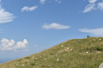 Where the sky and earth meet