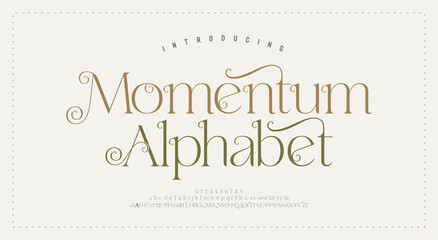 Wedding luxury alphabet letters font. Typography elegant classic lettering serif decorative vintage retro concept fonts and number. vector illustration