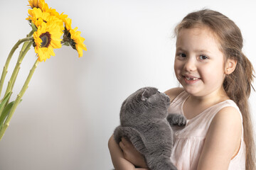 little girl with flower and Scottish fold cat