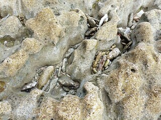 Tumbled pieces of broken coral caught among the hollows of eroded remnants of a dead coral reef in Bali Indonesia