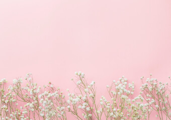 Obraz na płótnie Canvas Gypsophila flowers on pink pastel background, Minimalism, Spring flower blosssom concept, Flat lay, top view, copy space