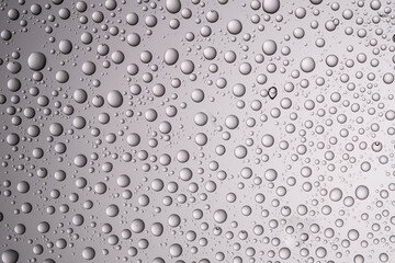 Drops of water on a transparent gray background.