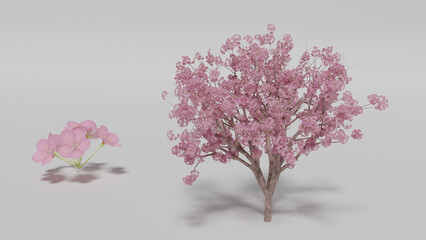 CG_桜