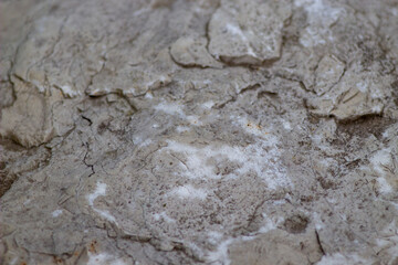 Old limestone white. The texture of white stone with traces of precipitation and atmospheric influences.