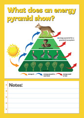 Science Experiment Log Worksheet
