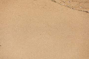 beach sand. sand texture