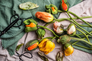 Flatlay mit Mohnblumen, bunte Blüten liegend arrangiert
