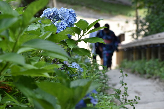 浴衣 Images Browse 30 604 Stock Photos Vectors And Video Adobe Stock