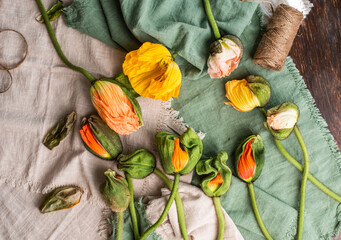 Flatlay mit Mohnblumen, bunte Blüten liegend arrangiert
