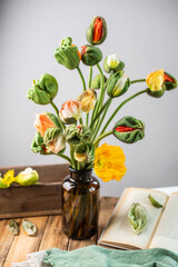 Mohnblumen in Blumenstrauß, Islandmohn in Blumenvase, 