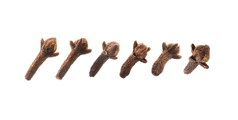 A set of clove seasoning. Isolated on a white background
