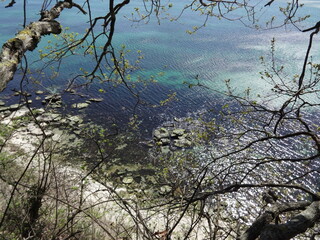 Transparent  Sea Water