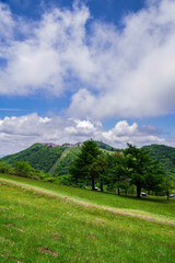 Fototapeta na wymiar 5月の青空と雲と新緑