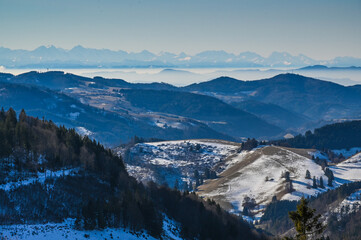 Winter im Schwarzwald mit Alpenpanorama