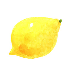 Whole lemon watercolor illustration. Hand drawn botanical element isolated on white background. Ripe exotic fruit in peel, with petiole. Citrus clipart for decoration, card design, wrapping