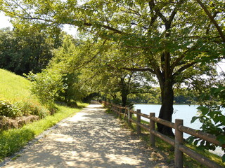 遊歩道