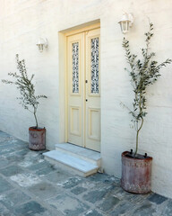 An elegant house door and two potted olive plants in Chora town, Andros island, Greece