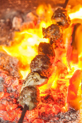 Flame grilled kebab 