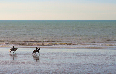 photos en bord de mer sur les cotes du nord : ballade des chevaux