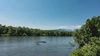 The blue river flows calmly. On the banks there is lush green vegetation, wildflowers. In the distance, against the background of a clear azure sky, a mountain range is visible. Kamchatka