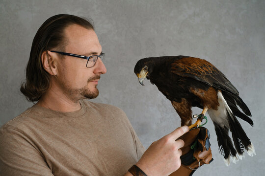 Man with eagle buzzard at home. Unusual pets and human animal friendship relationships. Wild bird on hand glove tenderness and love. Person with domestic creature over grey background
