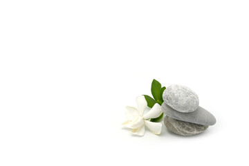 Cape Jasmine against grey stone on white background.