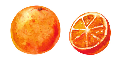 Watercolor orange. Ripe orange orange cut in half