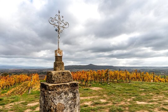 Croix de pierre et de m&eacute;tal entour&eacute;e de vignes au milieu du vignoble de boudes sur le chemin de randonn&eacute;e de la vall&eacute;e des saints dans le puy de d&ocirc;me