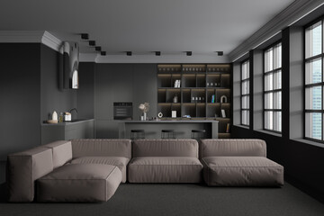 Fototapeta na wymiar Front view on dark studio room interior with sofa, island