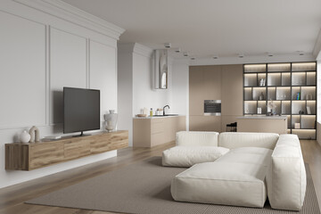 Corner view on bright studio room interior with tv, sofa