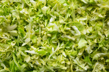 Raw Shredded Cabbage Background, top view.