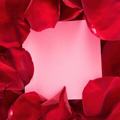 close-up background of red rose petals