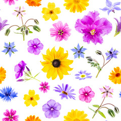 Bright seamless pattern of colorful flowers on a white background, as a backdrop or texture. Spring, summer floral  wallpaper for your design. Top view Flat lay