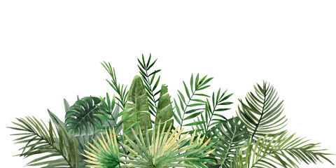Green palm leaves horizontal banner. Tropical twigs, branches. Jungle florals. Watercolor free-hand illustration for postcard, invitation, event flyer, poster, presentation, menu, lifestyle