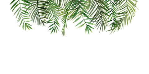 Green palm leaves horizontal banner. Tropical twigs, branches. Jungle florals. Watercolor free-hand illustration for postcard, invitation, event flyer, poster, presentation, menu, lifestyle